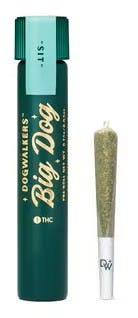 Photograph of product: Couch Crasher Pre-Roll | Single