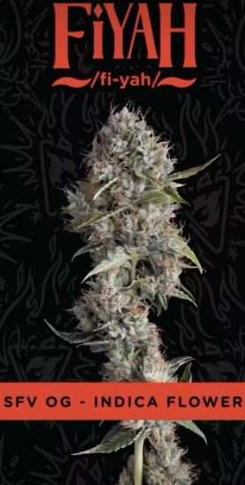 Photograph of product: FIYAH 3.5G - BLEM