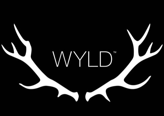 Photograph of product: Wyld - Elderberry 2:1 TH-oui/CBN Gummies