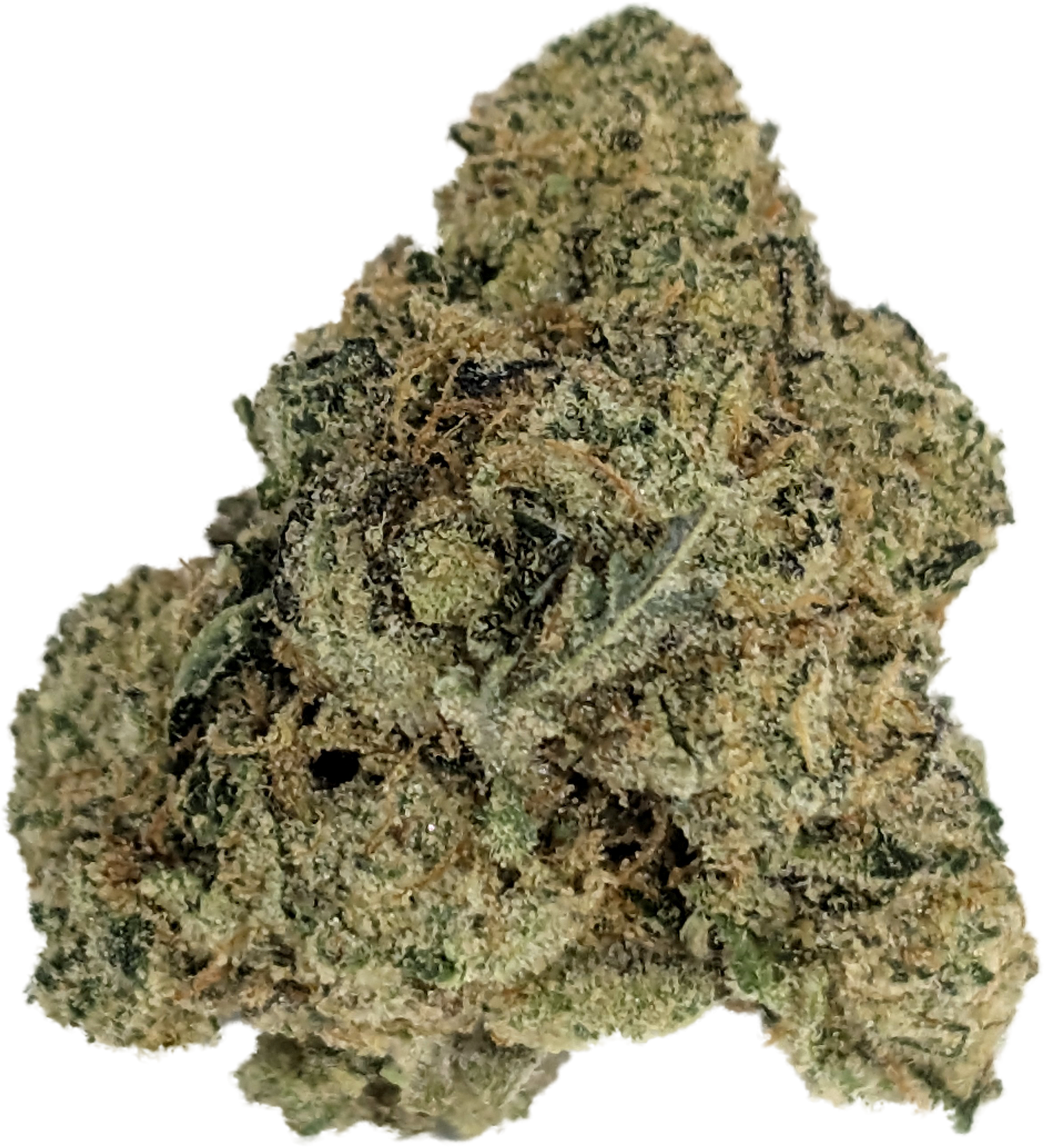 Photograph of product: The Loudest - 28g