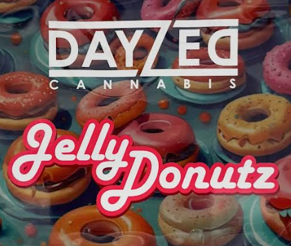 Photograph of product: DAYZED | 3.5g Flower | Jelly Donutz