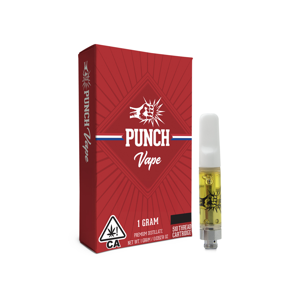 Photograph of product: XJ-13 CARTRIDGE [1 G]