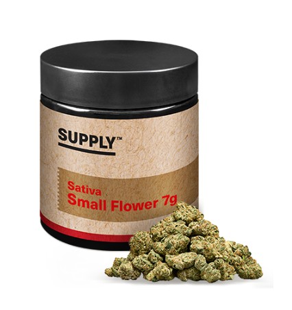 Photograph of product: GMO Pop Smalls | 7g