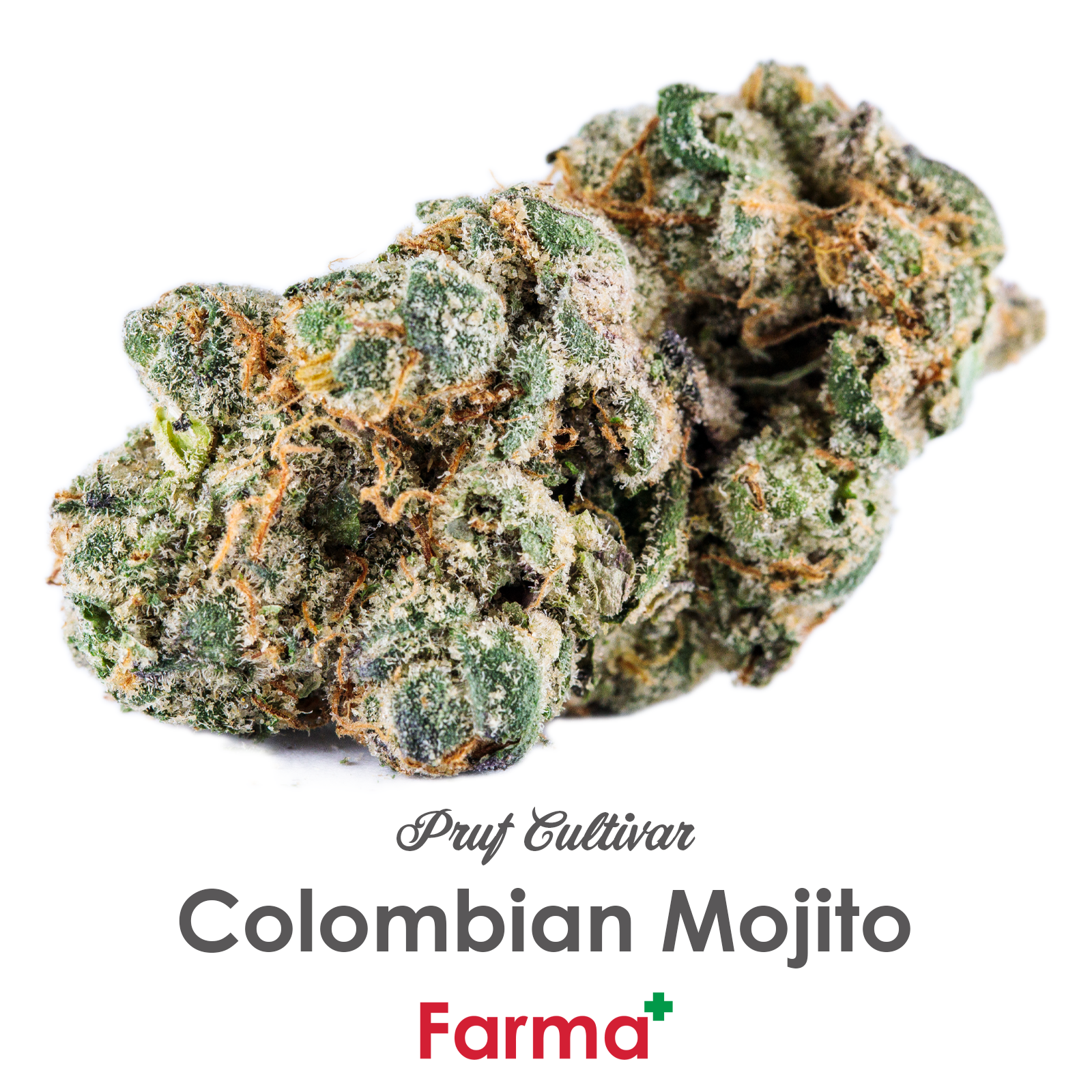Photograph of product: Pruf Cultivar Colombian Mojito | - 7g