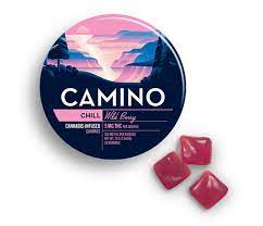 Photograph of product: Camino Chill Wild Berry Gummies