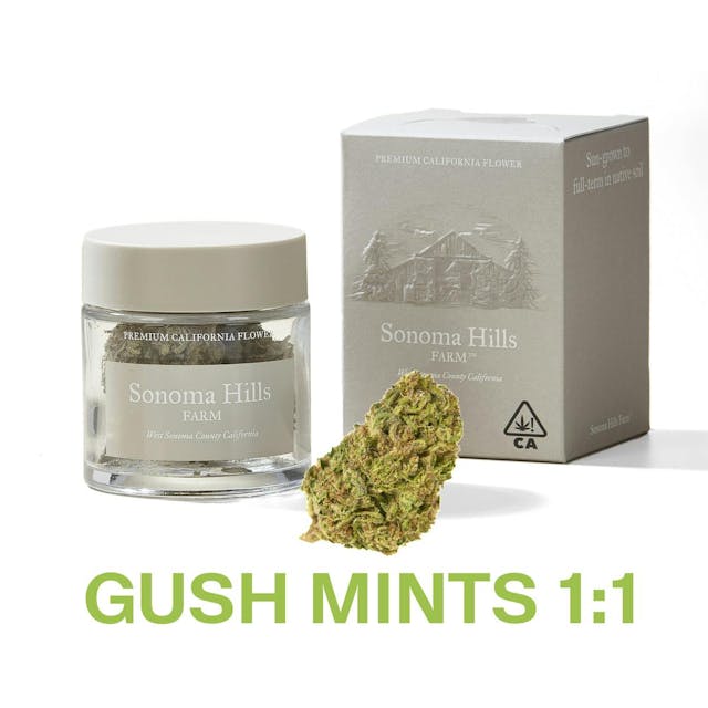 Photograph of product: Gush Mints 1:1 3.5g Flower Jar - 