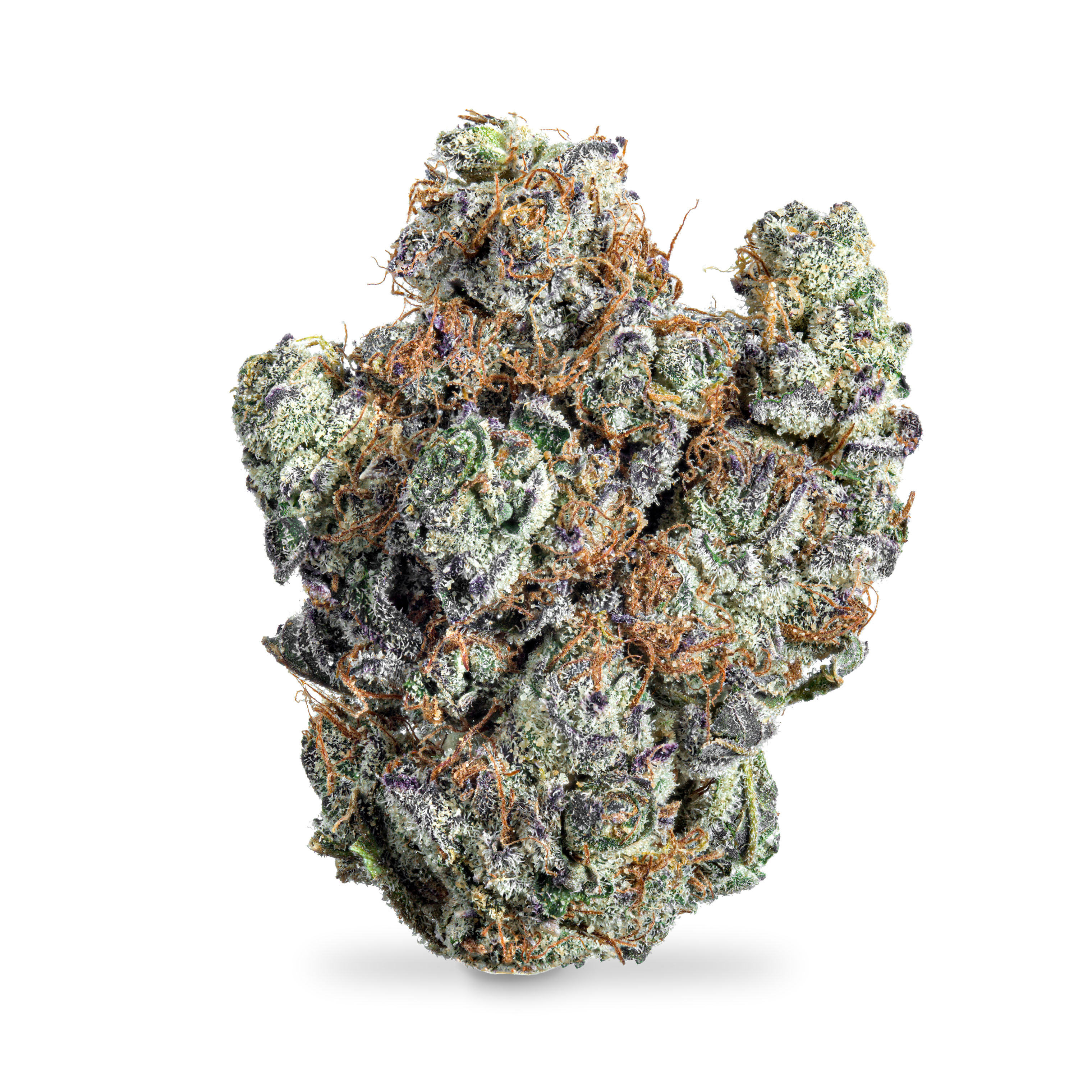 Photograph of product: Black Cherry Garlic Pre-Pack - 7g