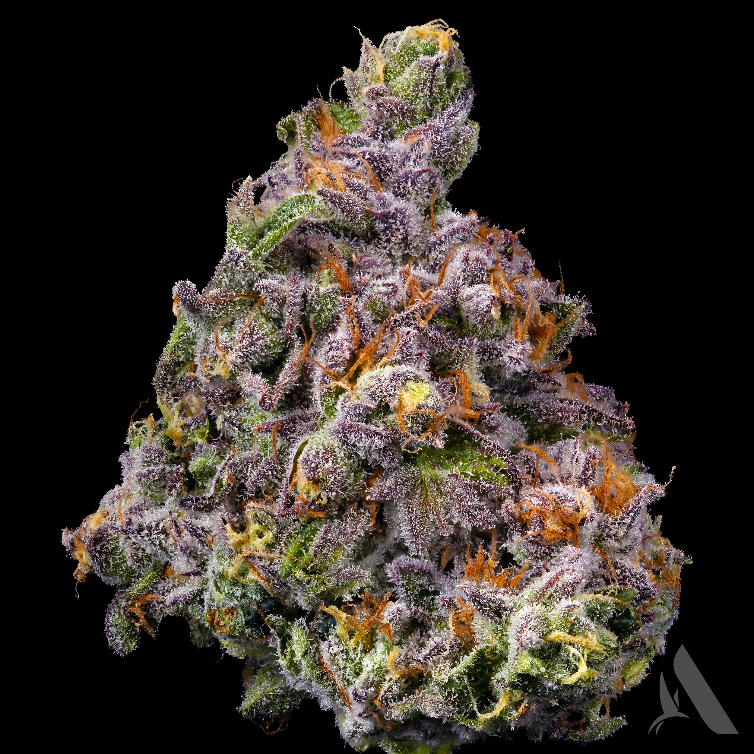 Photograph of product: Space Mints Flower T22.40% H 00269 - 3.5g