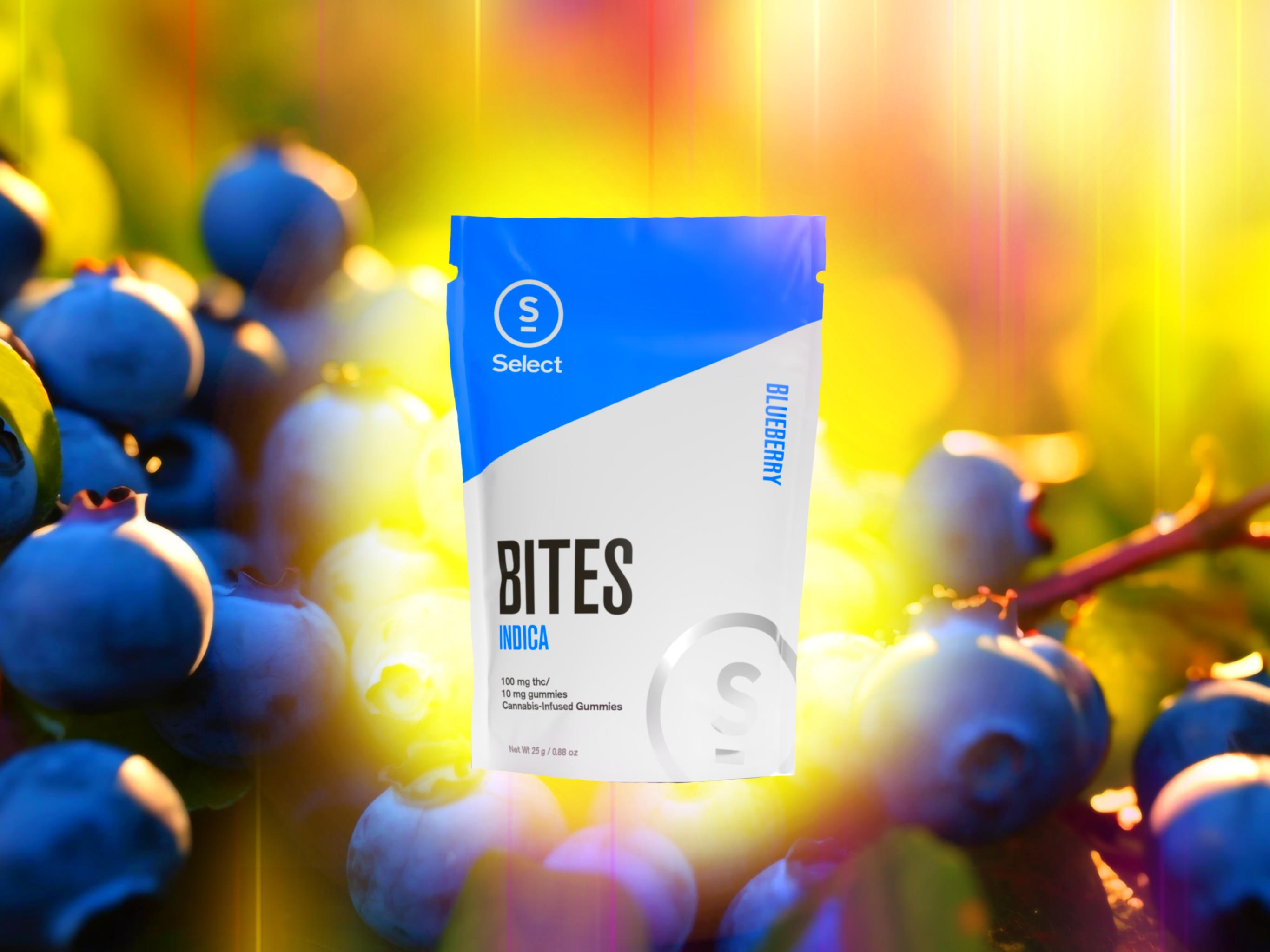 Photograph of product: Blueberry Select Bites 2.0-100mg/10pk