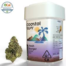 Photograph of product: Coastal Sun Hash Burger 3.5g Prepack