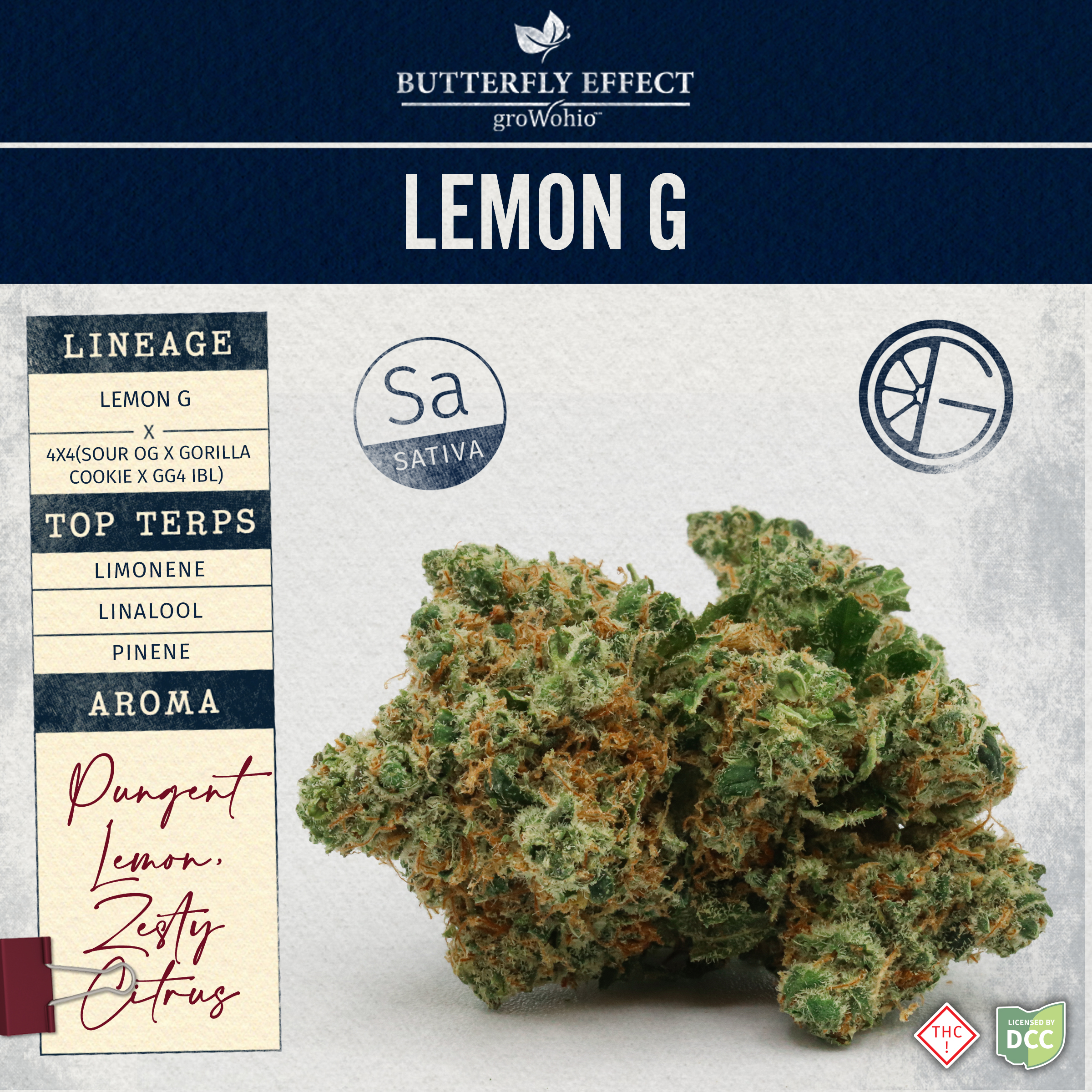 Photograph of product: Lemon G | 14.15g