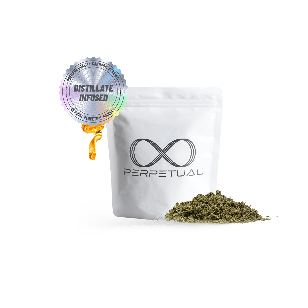 Photograph of product: Perpetual | 3.5g Infused Preground | Jack Herer