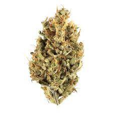 Photograph of product: Trinidad Cultivation Services - Scoops of Cream - Bulk Bud - 28g