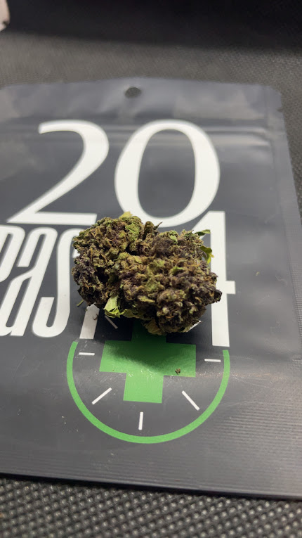 Photograph of product: Oceana Gardens | Squirt | Sungrown - Prepack OZ - 28g