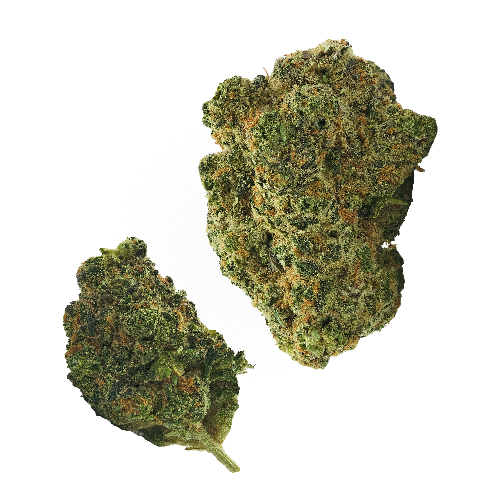 Photograph of product: Fierce Animal - 28g