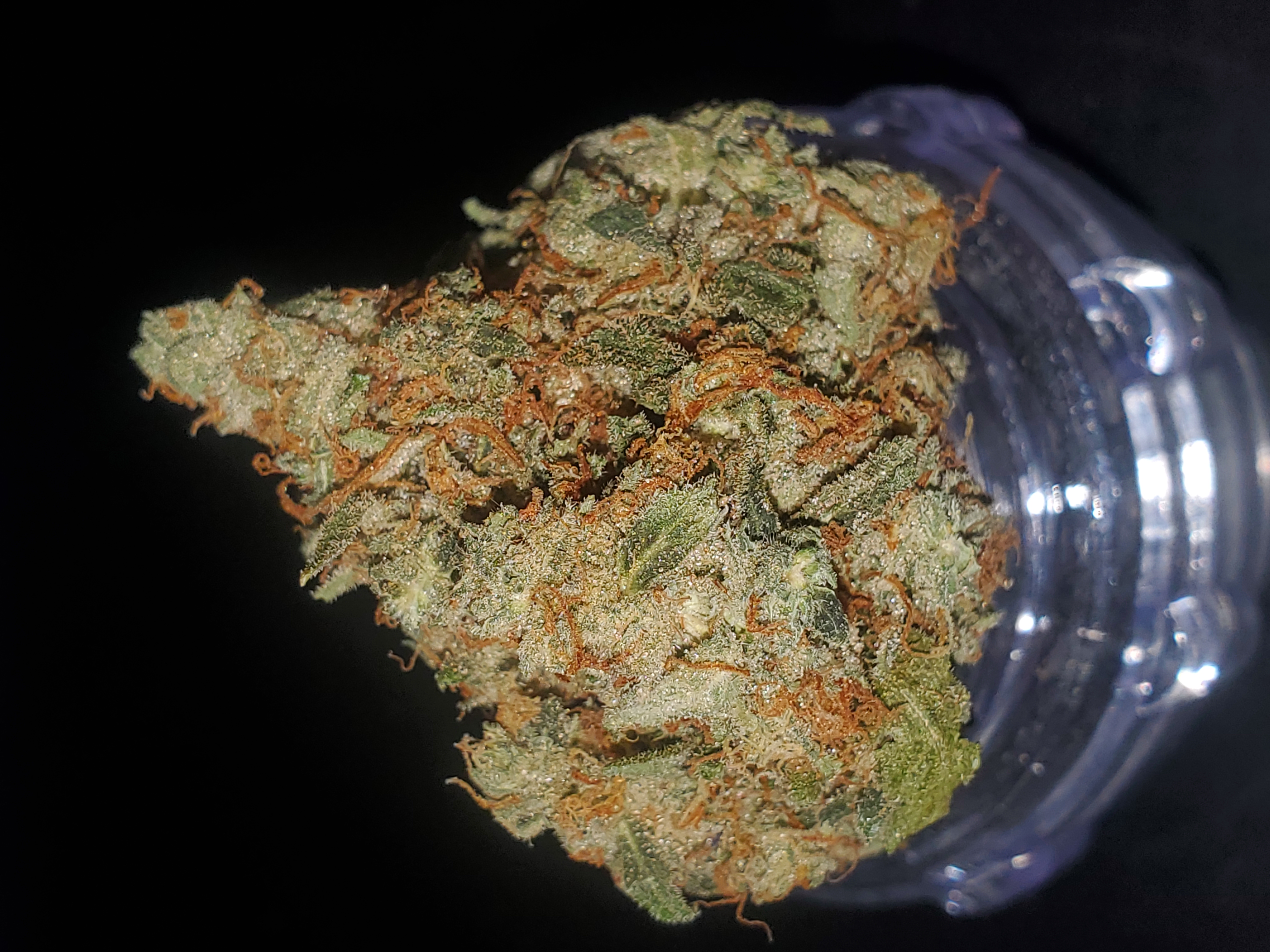 Photograph of product: Top Shelf - Orange Push Pop (I) - 28g