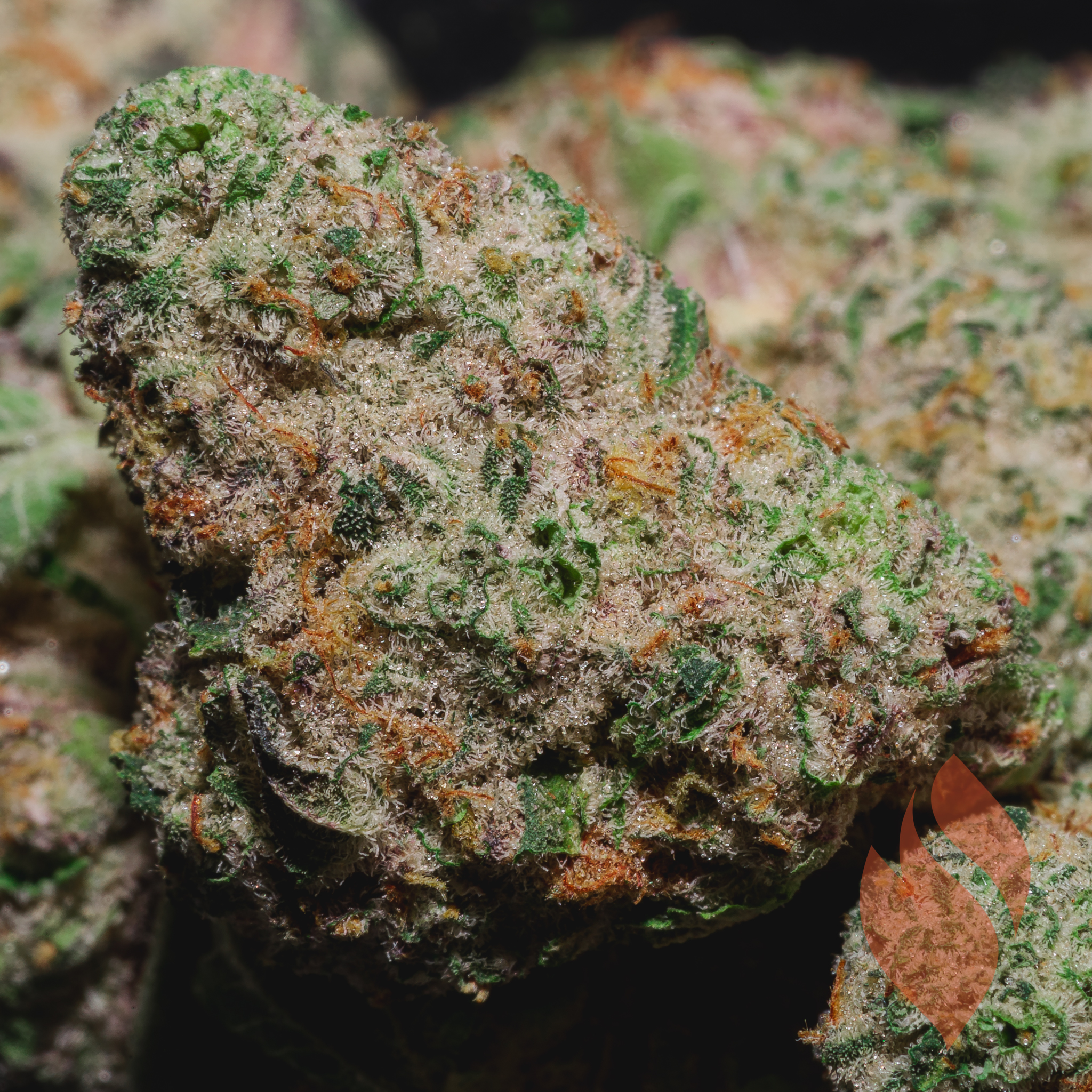 Photograph of product: Flower | Ozone | Fruit Guru - 3.5g