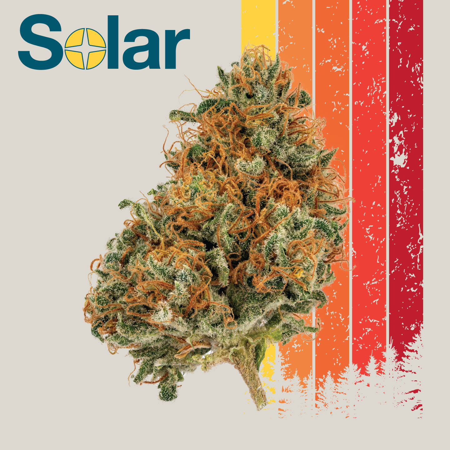 Photograph of product: Head Cheese | Solar | 28g