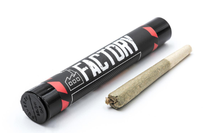 Photograph of product: Factory - 1g Infused Preroll - Jack Herer