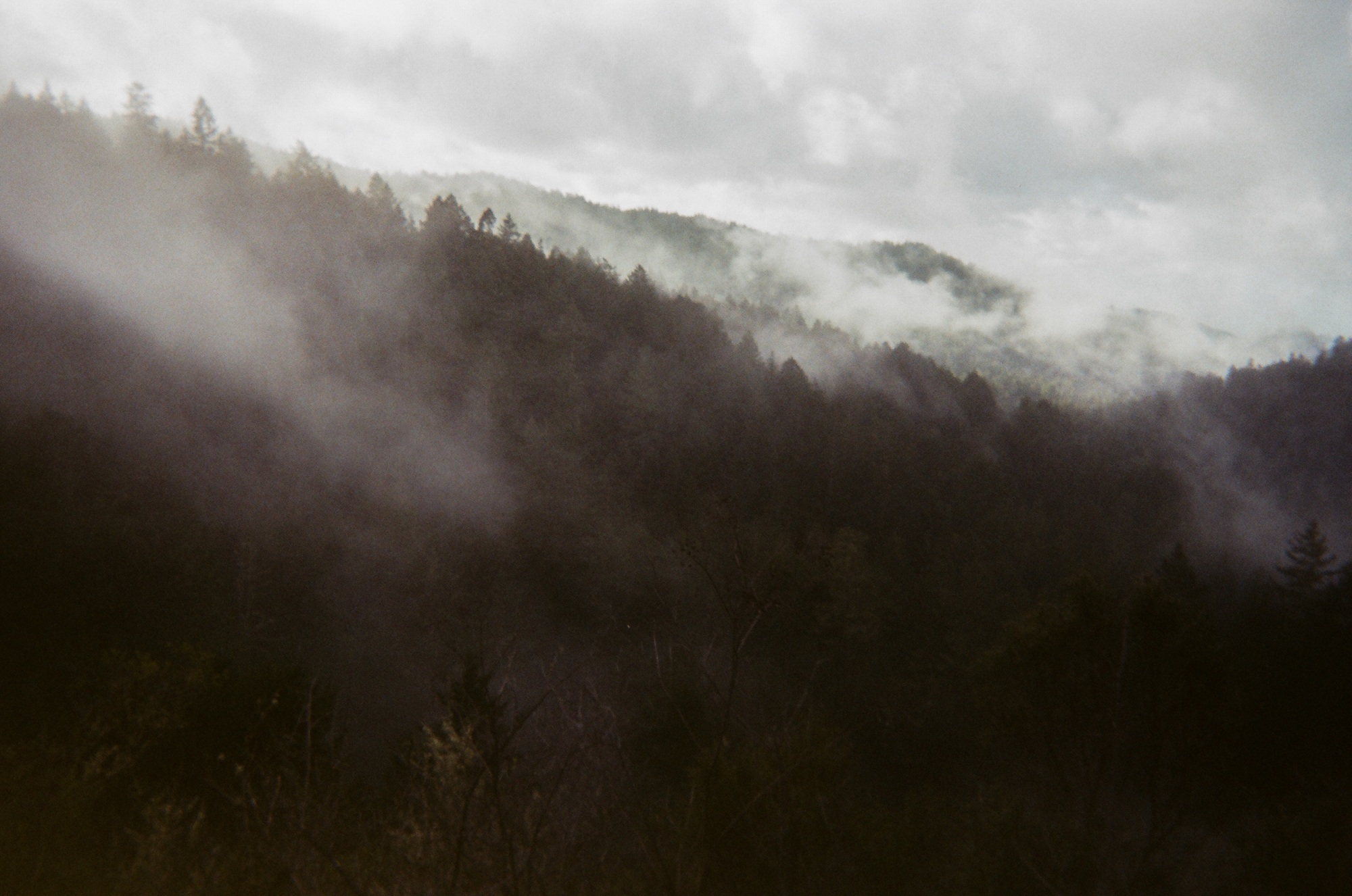 Photograph of product: Before You Go