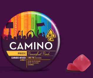Photograph of product: Camino - Pride - Passionfruit Punch - 100mg
