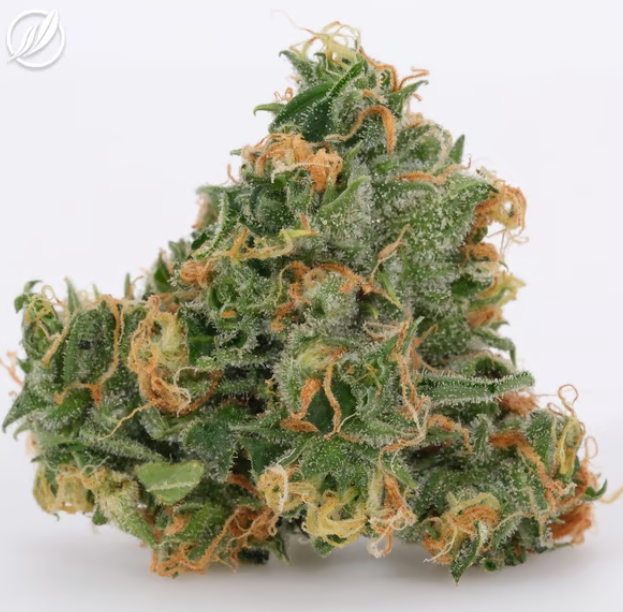 Photograph of product: Lemon Skunk Second Cut 7G S 25136