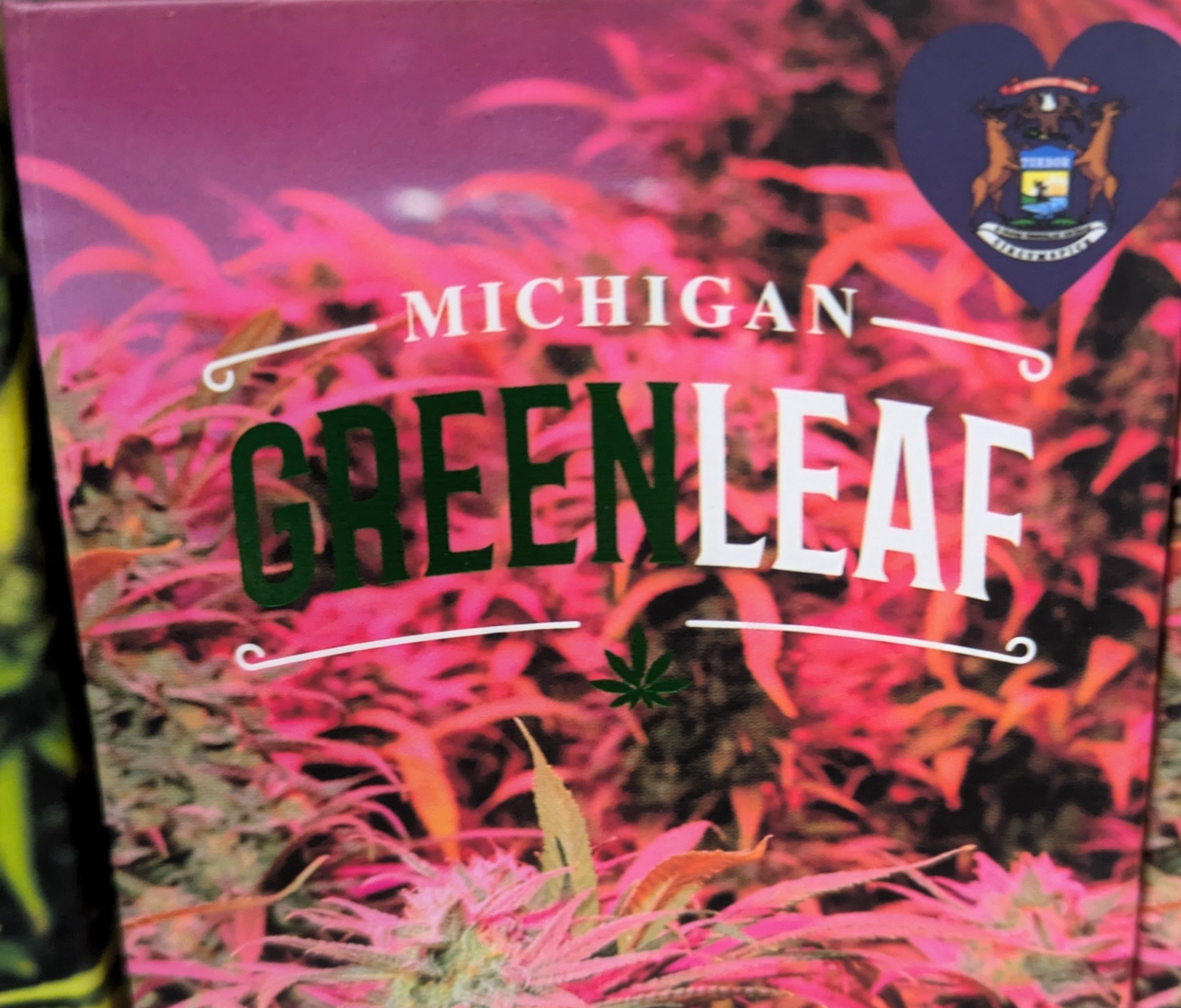 Photograph of Product: Maze & Blueberry - Disposable