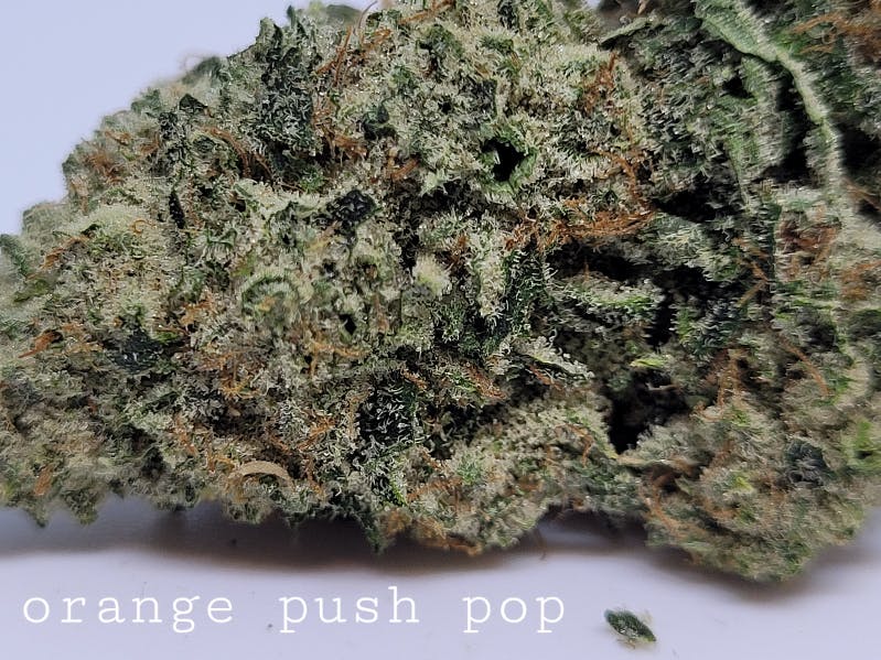 Photograph of product: Orange Push Pop By Harbor Farmz 27.09%