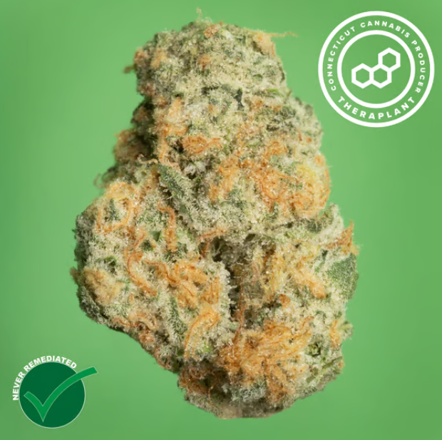 Photograph of product: Black Ch GMO 7g 41091