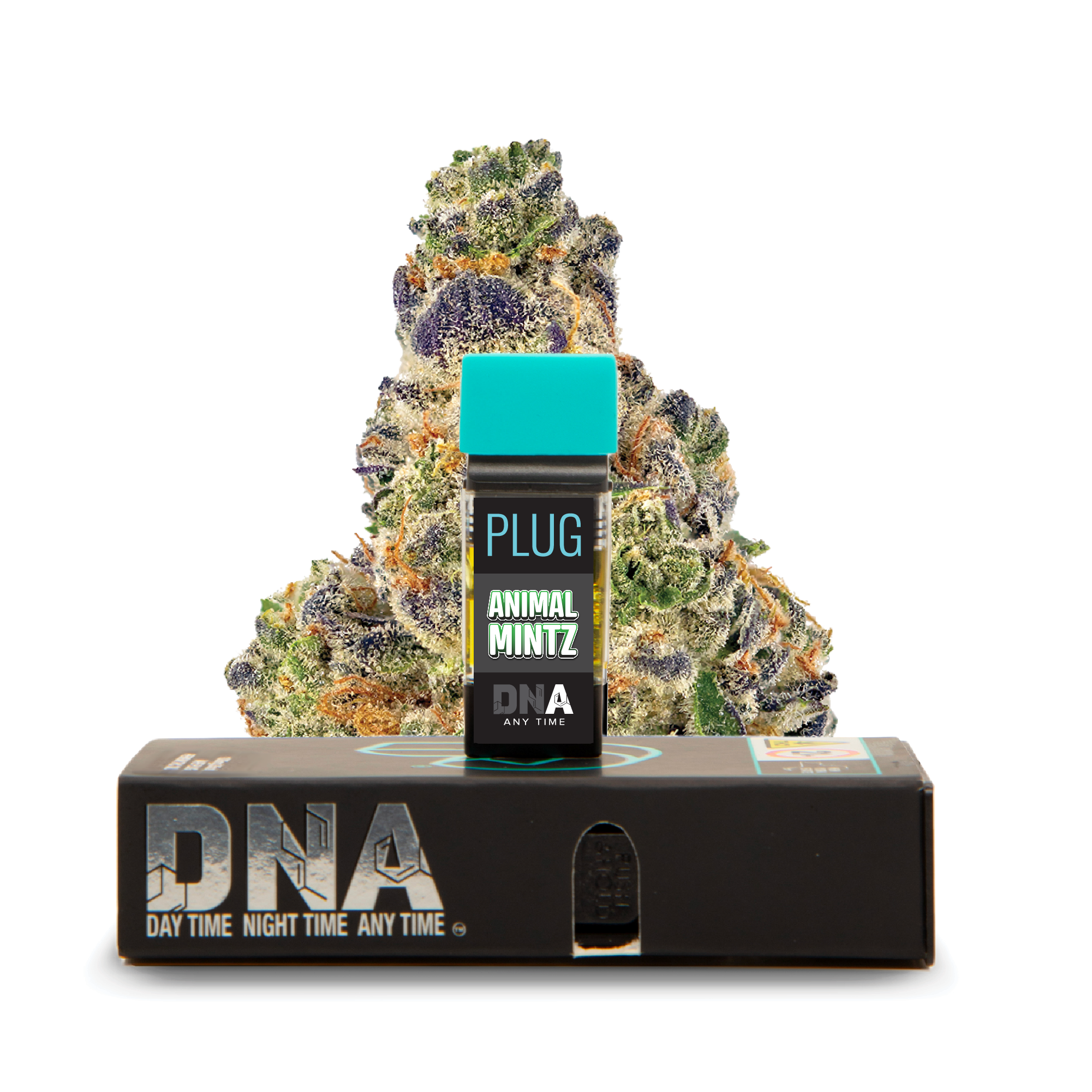 Photograph of Product: Plug Play - Animal Mintz Pod
