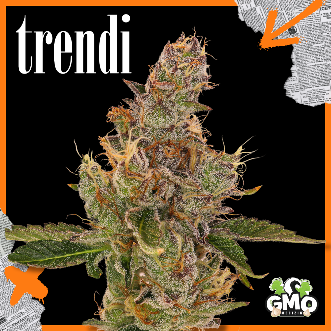 Photograph of product: Trendi DD GMO 3.5g Prepack