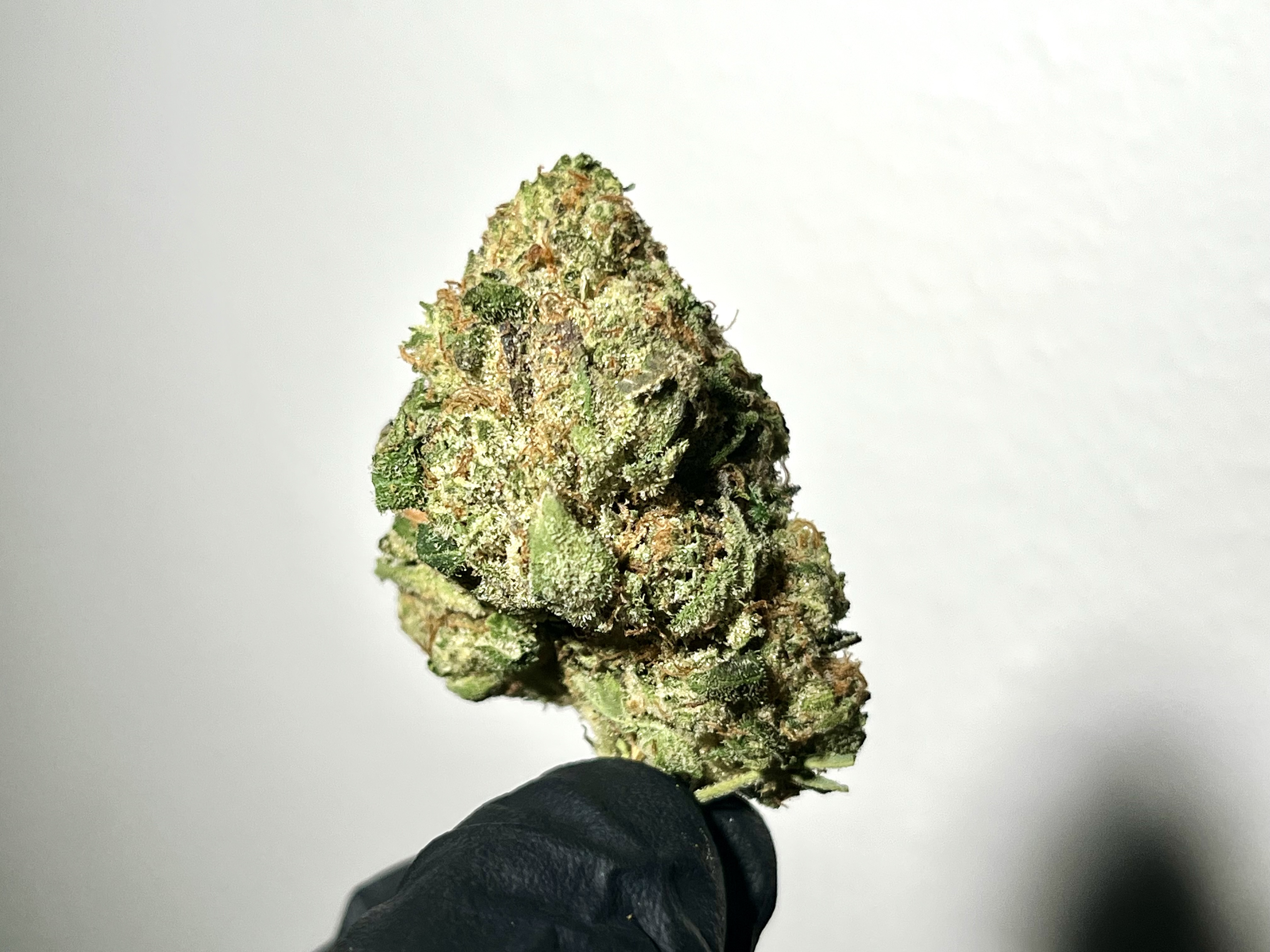 Photograph of product: Pure Bliss Farms - NY Mayhem - Flower - Bulk - 28g