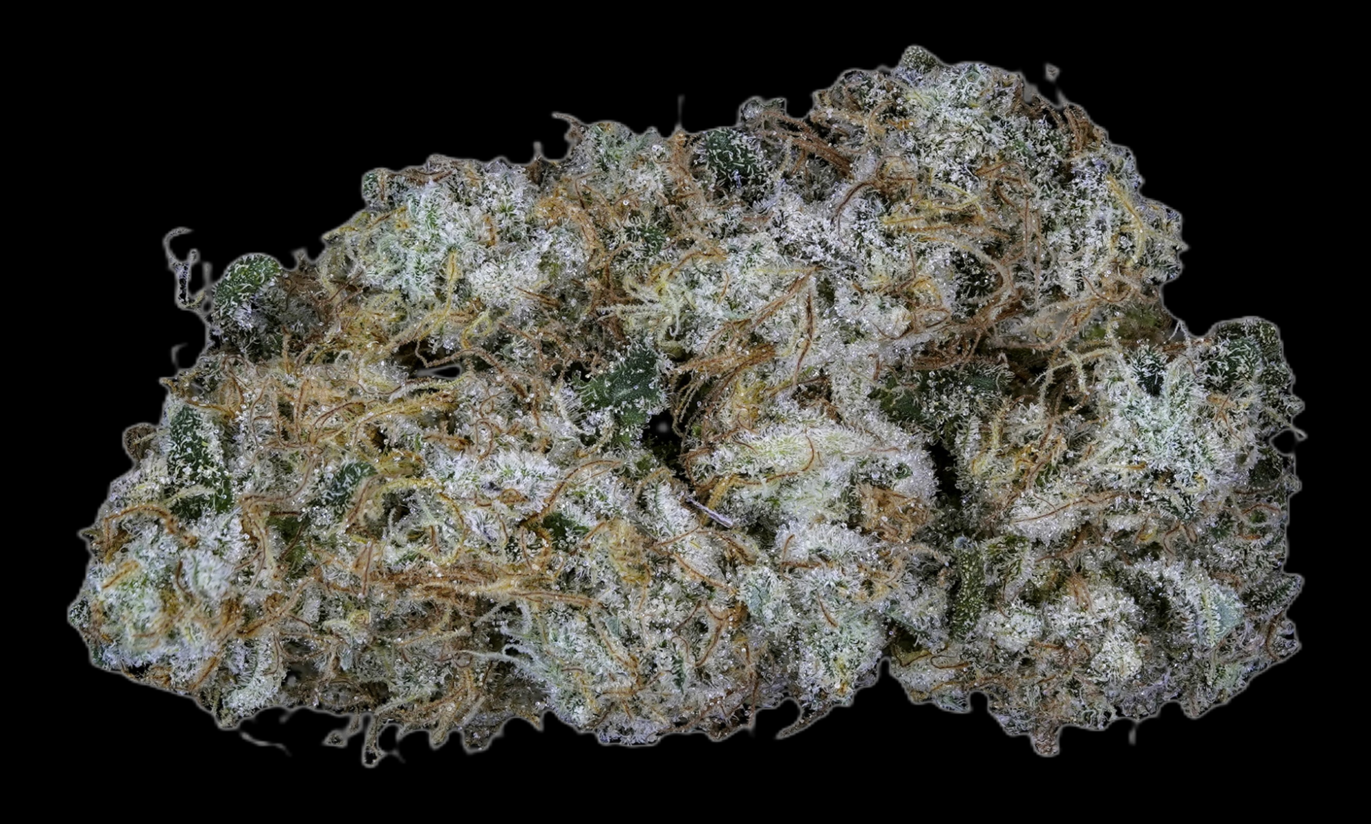 Photograph of product: Cheesecake: Bulk flower