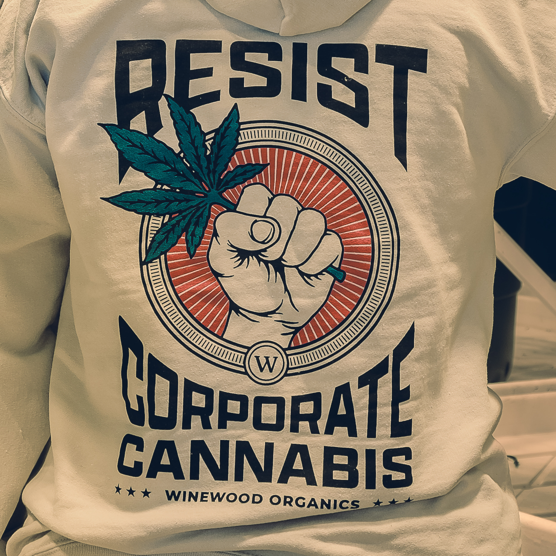 Photograph of product: Resist Hoodie