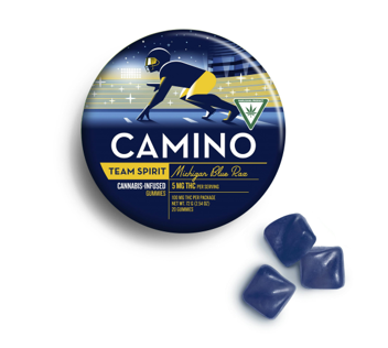 Photograph of product: Camino - Michigan Blue Raz - Gummies - 200mg