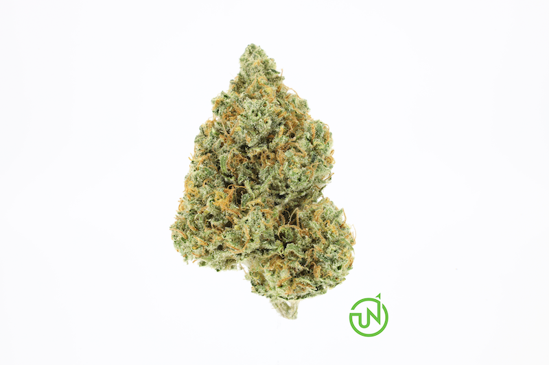 Photograph of product: Lamb's Bread - 3.5g (S) - Upnorth