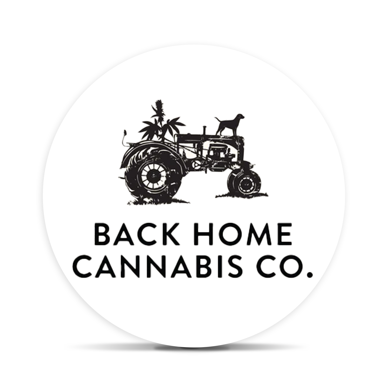 Logo for img-fluid: Back Home Cannabis Co.