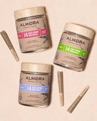 Photograph of product: JACK HERER .5G 14 PACK PRE ROLL - 7 G