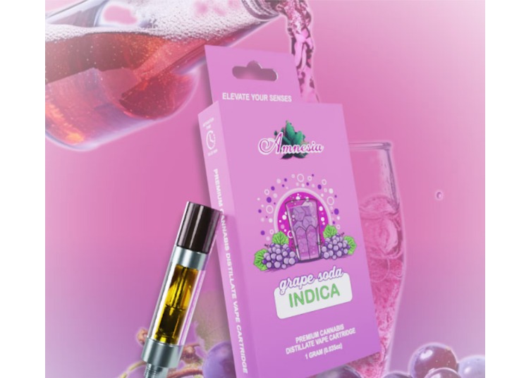 Photograph of product: Amnesia | Grape Soda | 1g | Cartridge