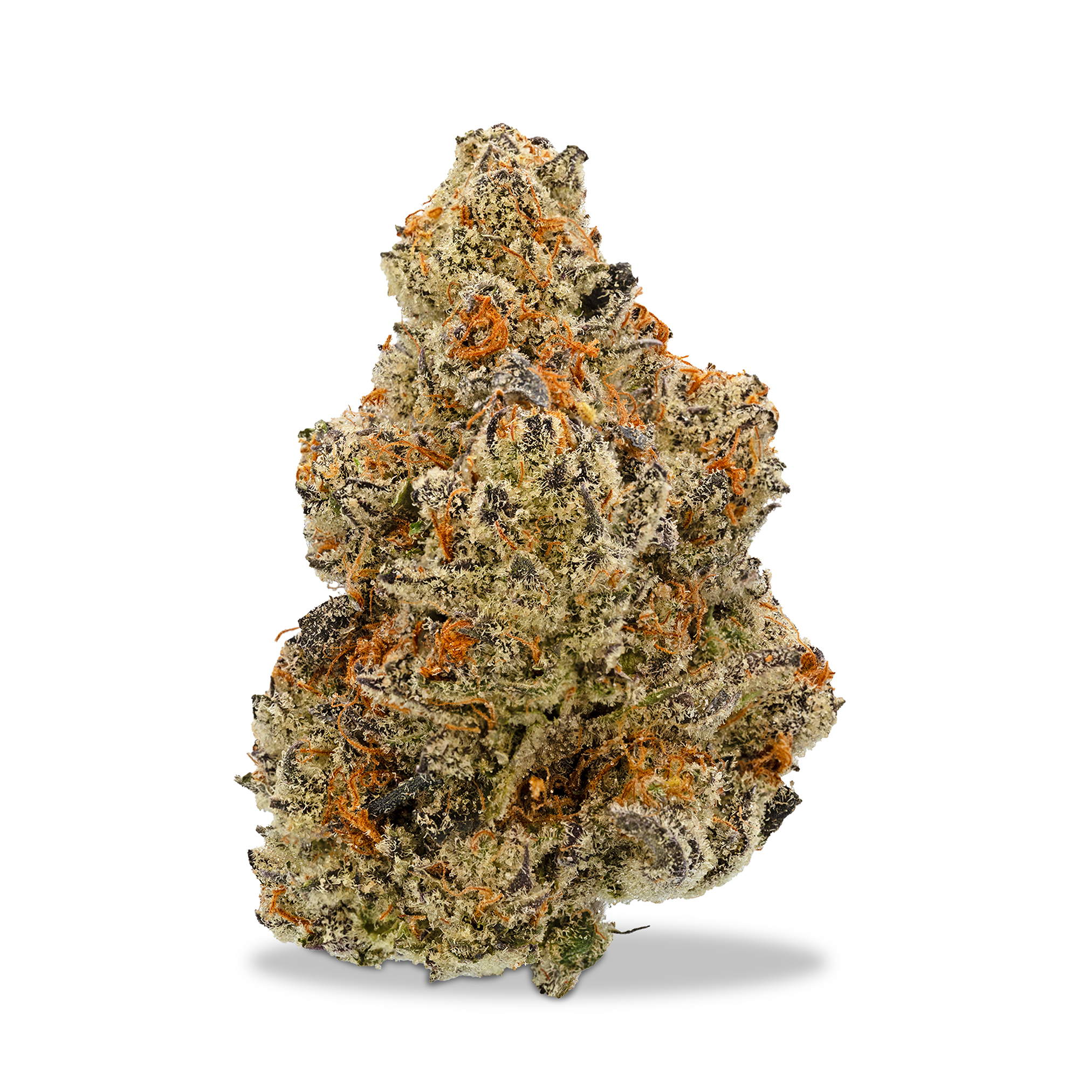 Photograph of product: Kaprikorn - White Truffle - 1g