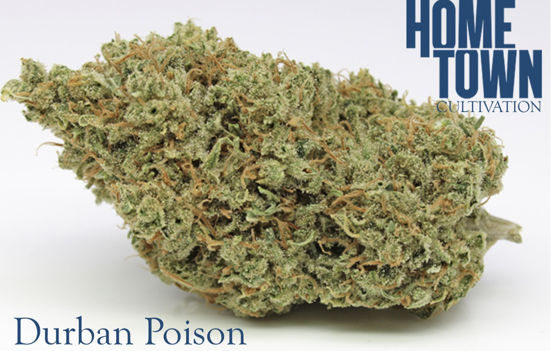Photograph of product: Hometown Cultivation | Durban Poison B Buds - 28g