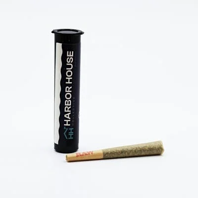 Photograph of product: Coastal Healing | Raspberry Sunset Pre-Roll | 1g