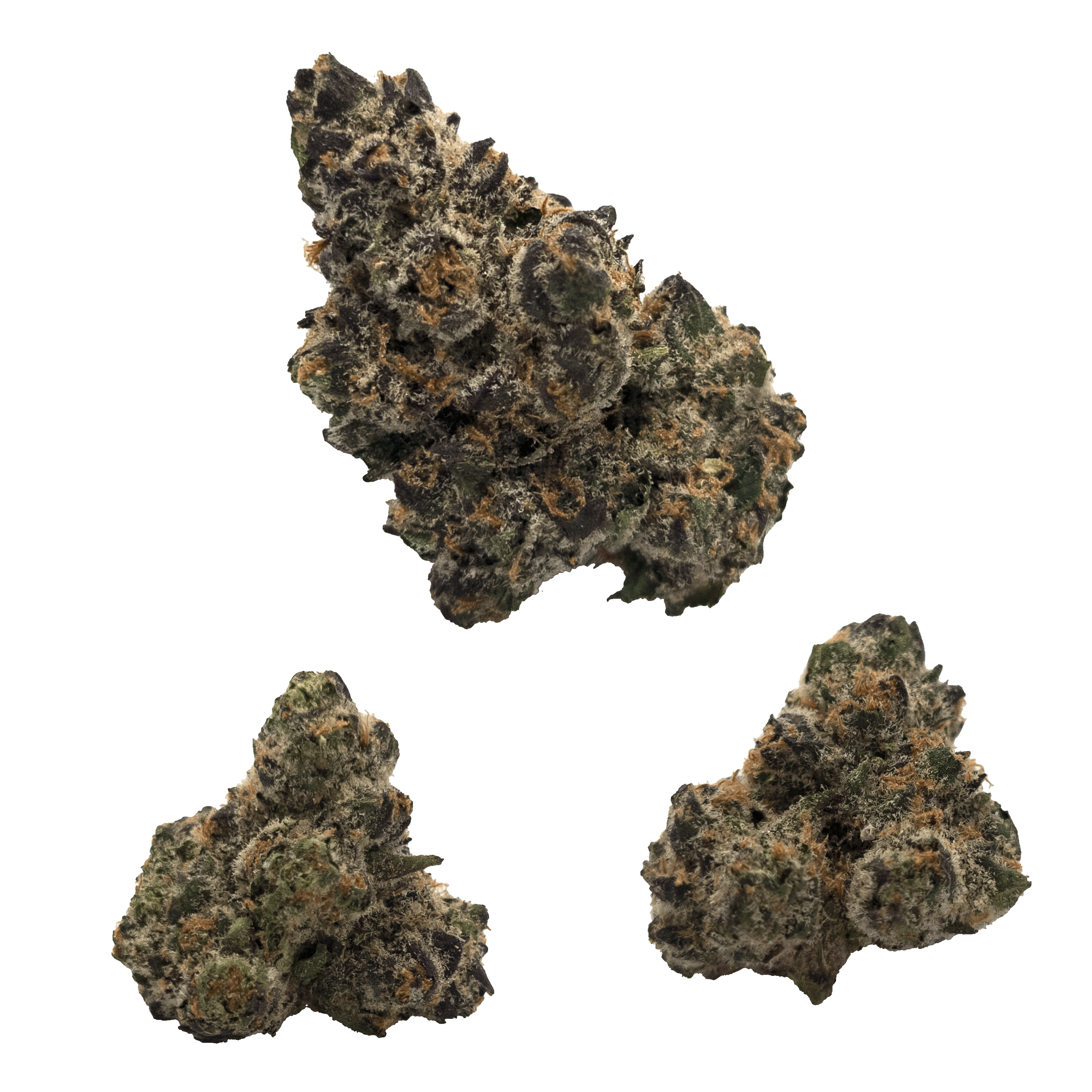 Photograph of product: Apple Cider - 28g