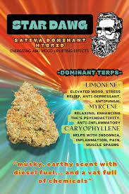 Photograph of product: Bushy Beard | Star Dawg | Bulk Flower - 28g