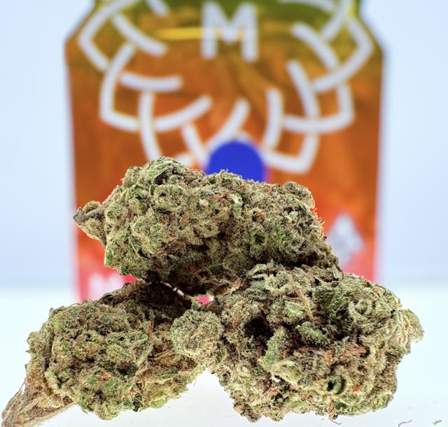 Photograph of product: GMO - 