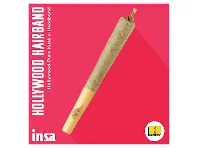 Photograph of product: Hollywood Hairband: Pre-Roll