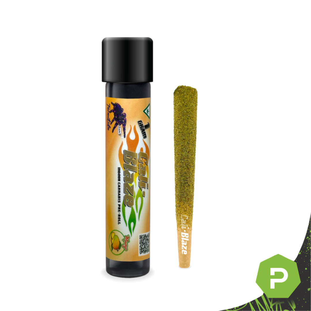 Photograph of product: Cali Blaze Tarantula Preroll | Mango