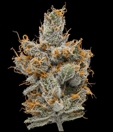 Photograph of product: GreenDot Lemon Butter Rum 3.5g Pre-Pack