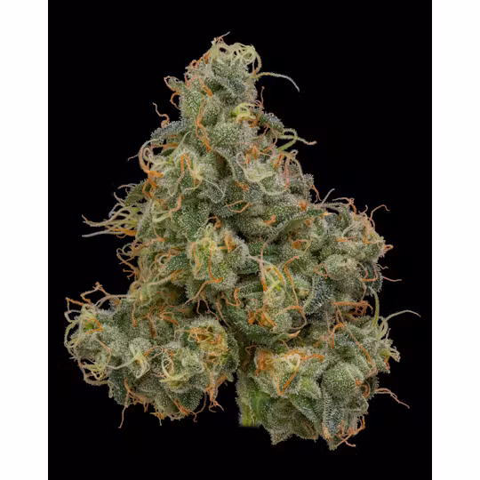 Photograph of product: Up North - Durban Poison - Indoor - 3.5g