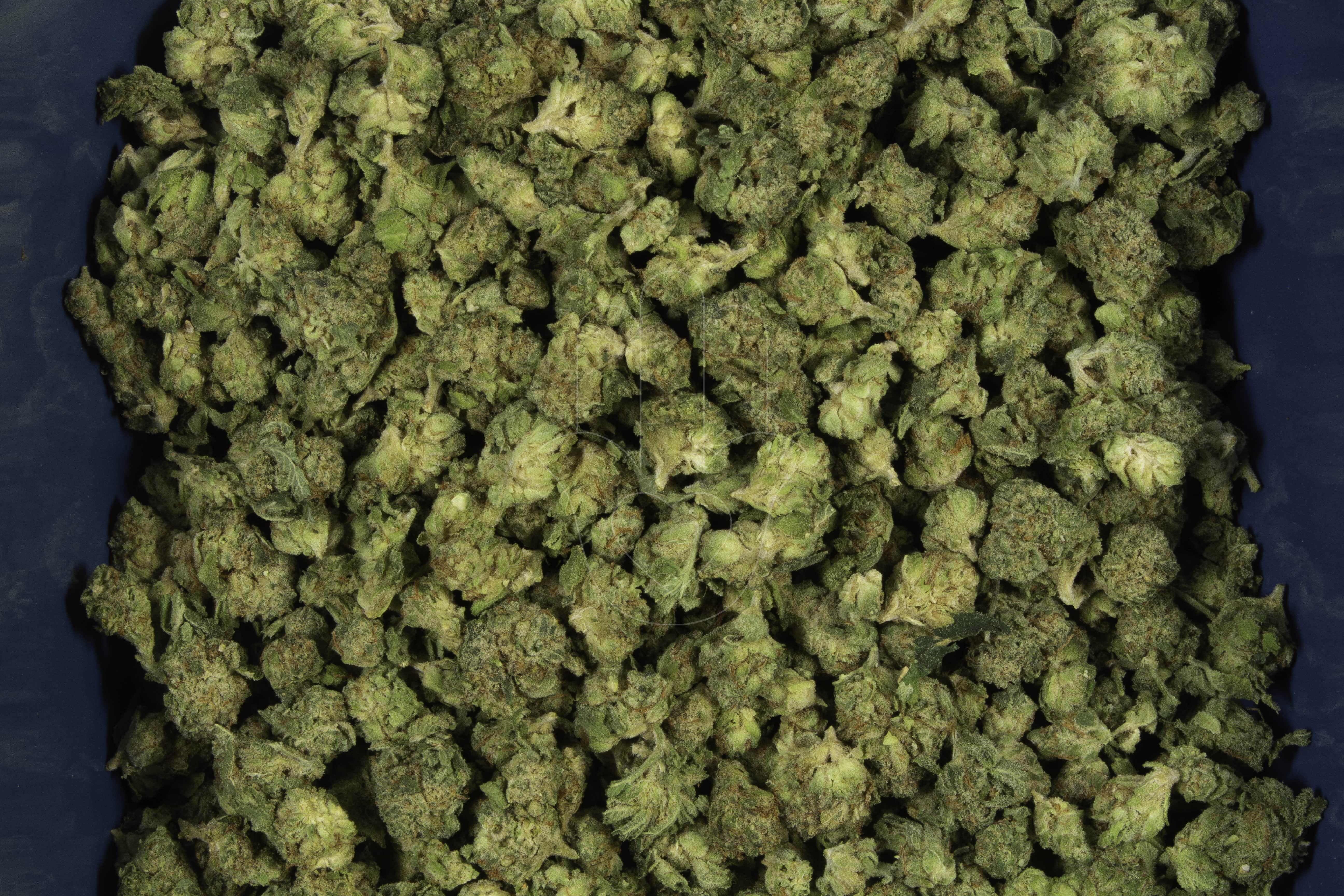 Photograph of product: Classic Trainwreck | SMALLS - 28g